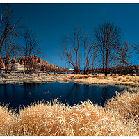 Salmon Creek Overflow