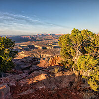 210412-21638-R5 foc stk.jpg