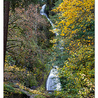 Wahkeena Falls