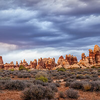 210413-21303-R5.jpg