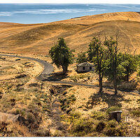 History in the Palouse