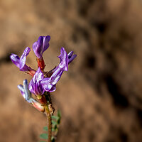 210506-24479-R5.jpg