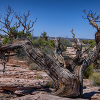 210506-24507-R5 stacked.jpg