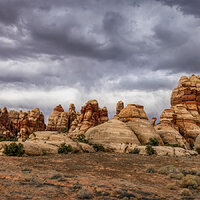 210413-21299-R5.jpg