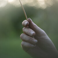 Hand