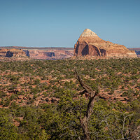 210412-22783-5DS R.jpg