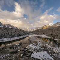 Winter Clearing Out.jpg