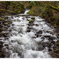 Bridal Veil Creek