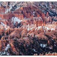 Morning Light on the Hoodoos