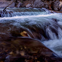 210531-25013-R5.jpg