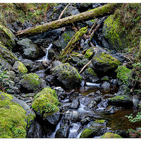 Secret Beach Trailside Falls