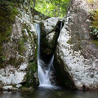 Cathedral Falls