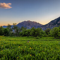 210627-25361-R5.jpg