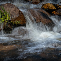210615-25288-R5.jpg