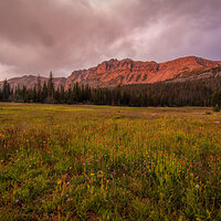 150721-0821-5DS- R.jpg