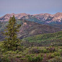 210703-25401-R5.jpg