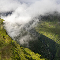 LRCC_sRGB_FW_JungleClouds_TAP_5674.jpg