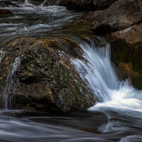 210710-25469-R5.jpg