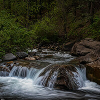 210710-25478-R5.jpg