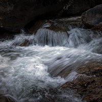 210710-25498-R5.jpg