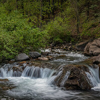 210710-25480-R5 crop.jpg