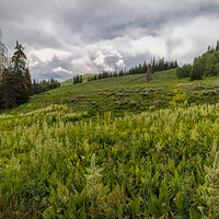 210715-25544-R5.jpg