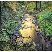 South Fork Silver Creek