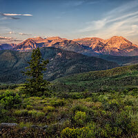 210724-25645-R5 uncrop.jpg