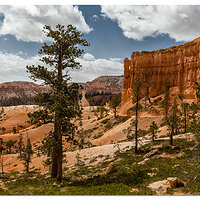 Off to see the Queen