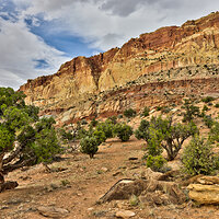 LRCC_sRGB_FW_JuniperOnTheRocks_TAP_7645-7647_DxO_DeepPRIME_Balancer.jpg