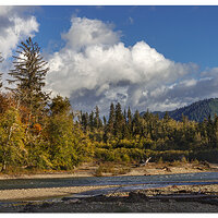 The River Queets
