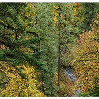 North RimTrail