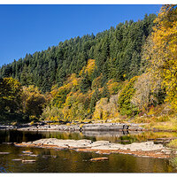 Siuslaw in the Fall