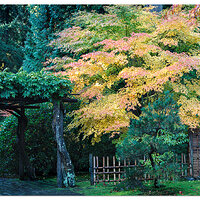 Portland Japanese Garden