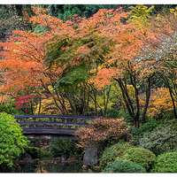 Portland Japanese Garden