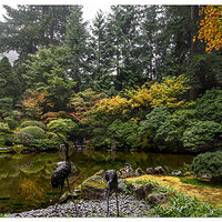 Fall in the Garden