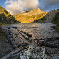 Beaver Dam Bones.jpg