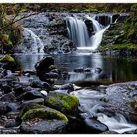 Sweet Creek.jpg