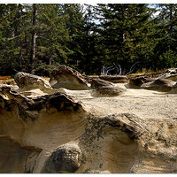 Pacific Bisti