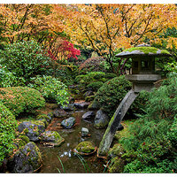 Portland Japanese Garden