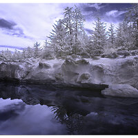 Shore Acres Moonscape II