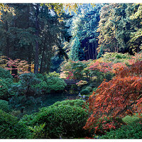 Portland Japanese Garden