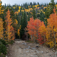 LRCC_sRGB_FW_ColorfulTrail_TAP_9124.jpg