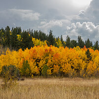 LRCC_sRGB_FW_OrangeStand_TAP_9149.jpg