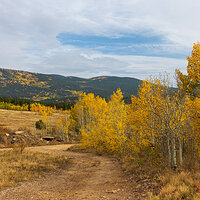 LRCC_sRGB_FW_BackcountryGold_TAP_9036.jpg