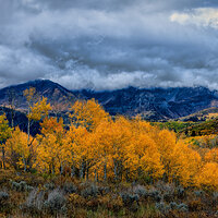 211006-27030-R5 a.jpg
