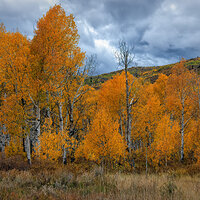 211006-27035-R5.jpg