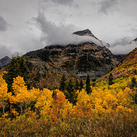 211006-27048-R5.jpg