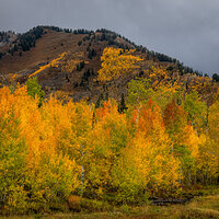 211006-27038-R5.jpg