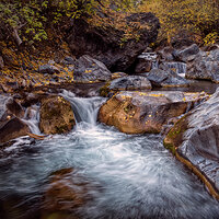 211015-27145-R5.jpg